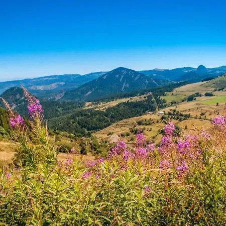 Lover Les Chaizes 住宿加早餐酒店 3*